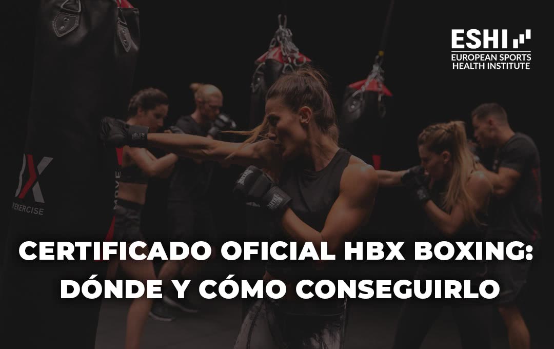 Certificado oficial HBX Boxing